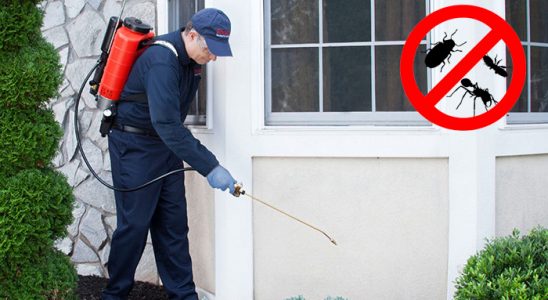 Sarıçam Hamam Böceği İlaçlama böcek ilaçlama ve haşere kontrolü — ilaclama-tr.com
